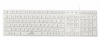 Клавиатура Oklick 550ML белый USB slim Multimedia LED